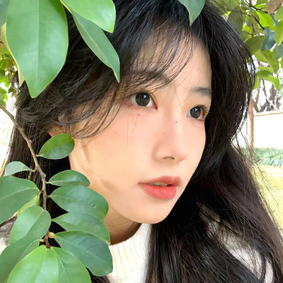绝代艳宝莲的一生
