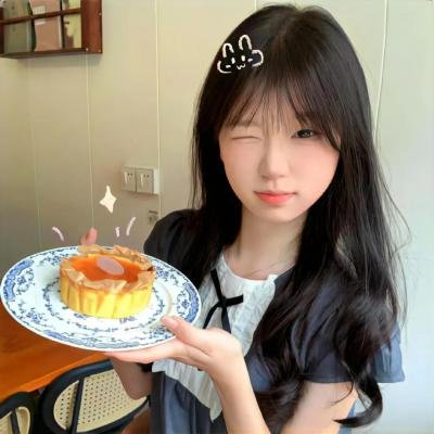 双子座计划